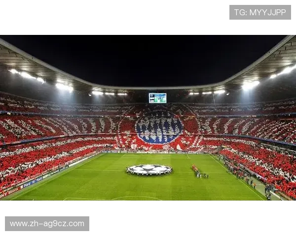 德甲主场球场容纳观众数量及影响因素分析