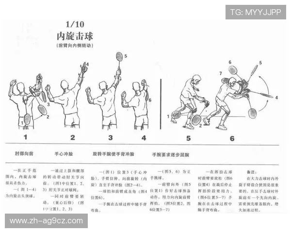 羽毛球教学最新 羽毛球教学最新