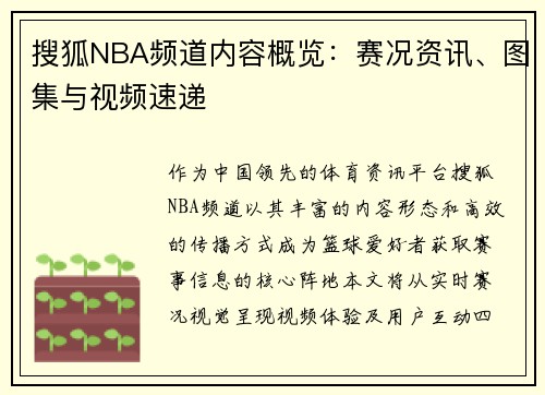 搜狐NBA频道内容概览：赛况资讯、图集与视频速递