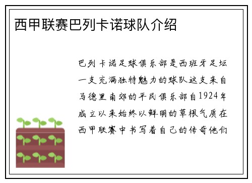 西甲联赛巴列卡诺球队介绍