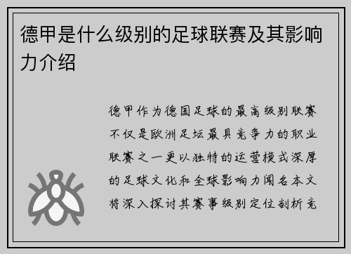 德甲是什么级别的足球联赛及其影响力介绍